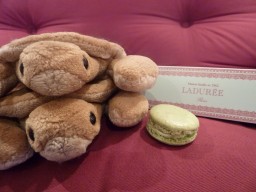 Ladurée:  French For 'Awesome'