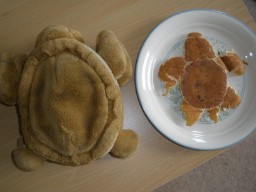 Turtle Pancake
